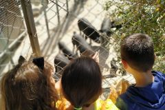 IMG_20191005_112749