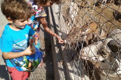 IMG_20191005_113344