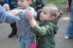 DSC05098